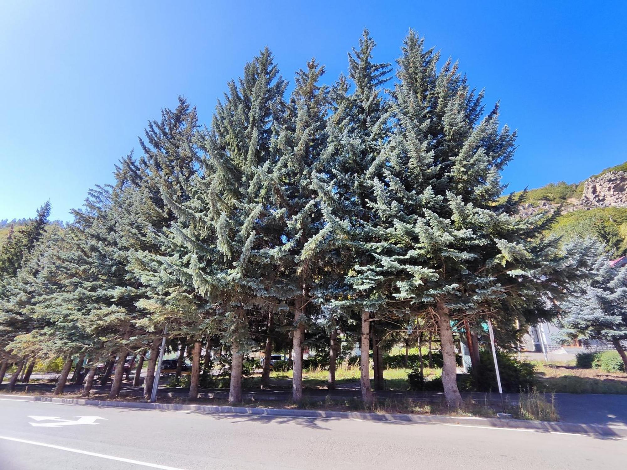 Jermuk Mini Apartment Luaran gambar